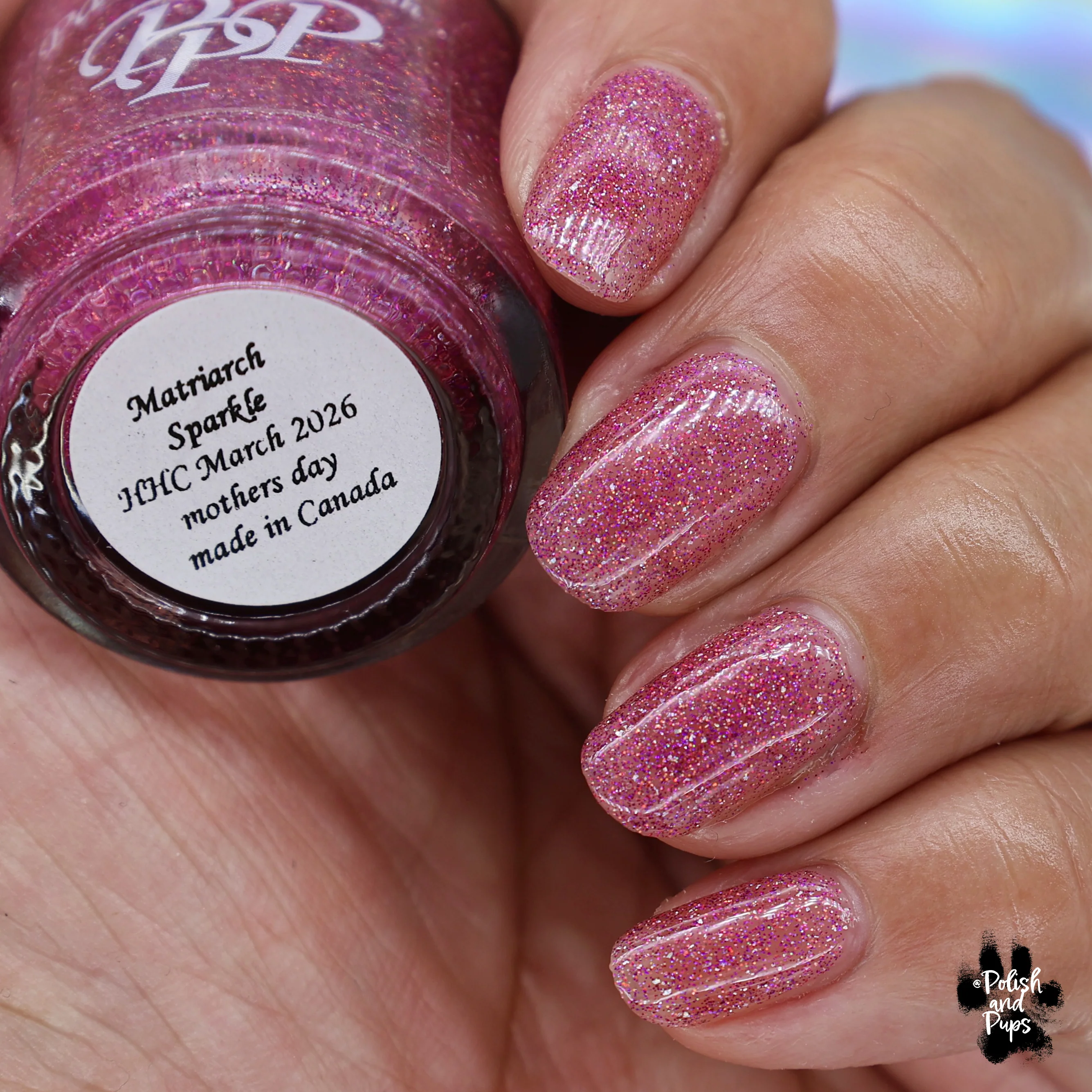 Paint It Pretty Polish: Mother's Day "Matriarch Sparkle" (Reflective) *OVERSTOCK* - Image 3