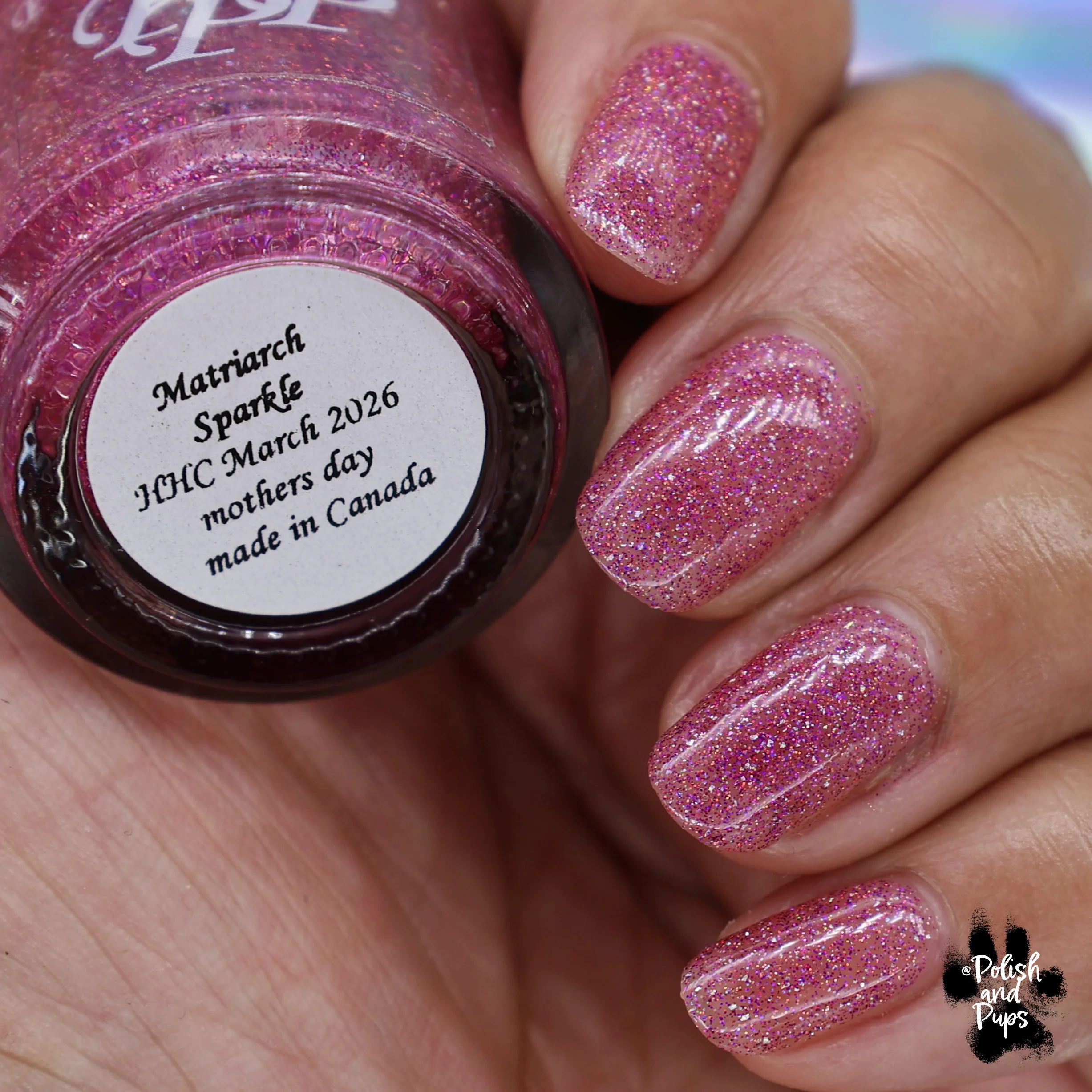 Paint It Pretty Polish: Mother's Day "Matriarch Sparkle" (Reflective) *OVERSTOCK* - Image 9