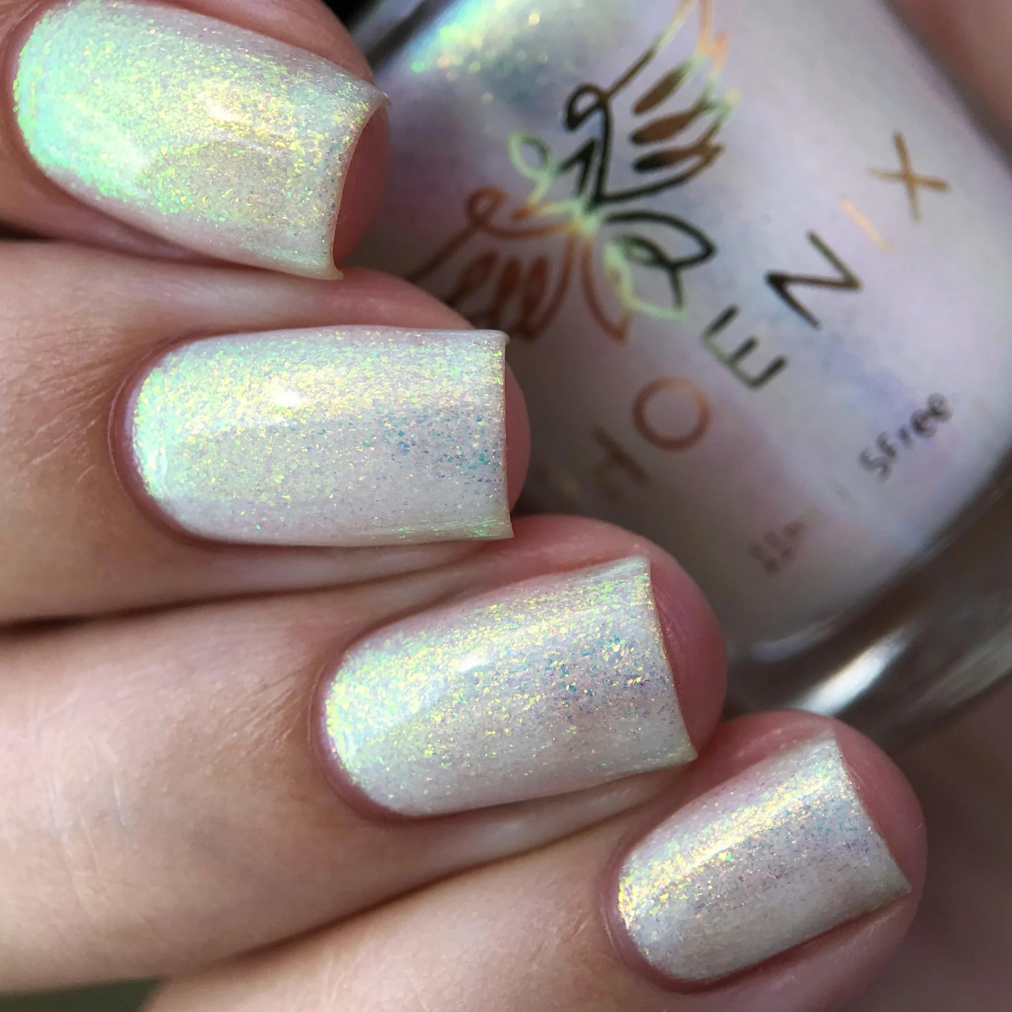 Phoenix Indie Polish: SINGLE "We Could" *OVERSTOCK* - Image 4