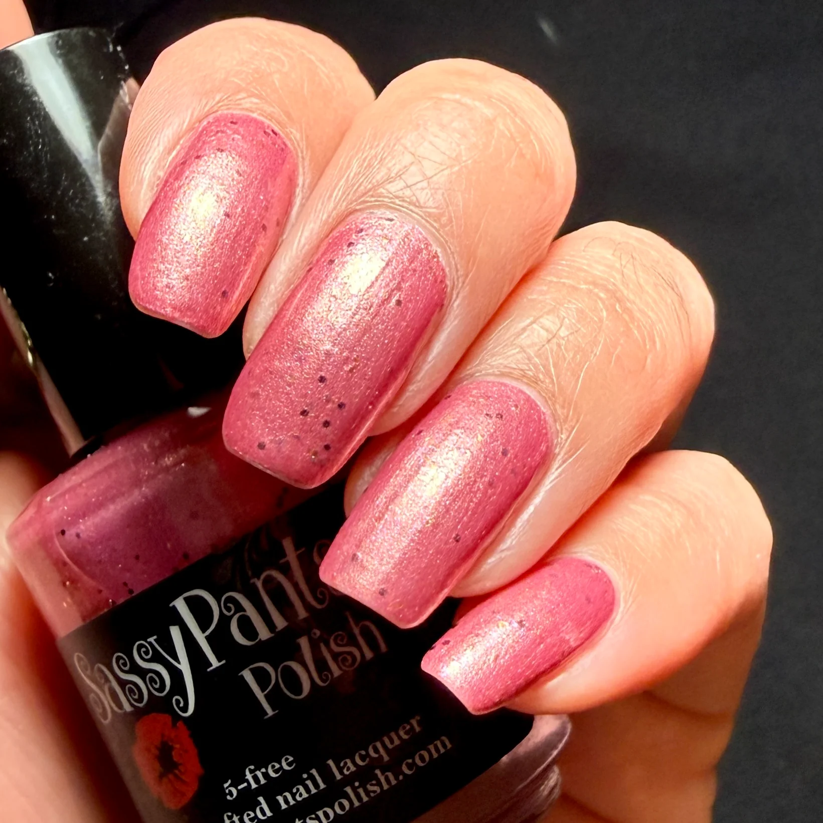 Sassy Pants Polish: "Warrior's Kiss" *OVERSTOCK* - Image 15