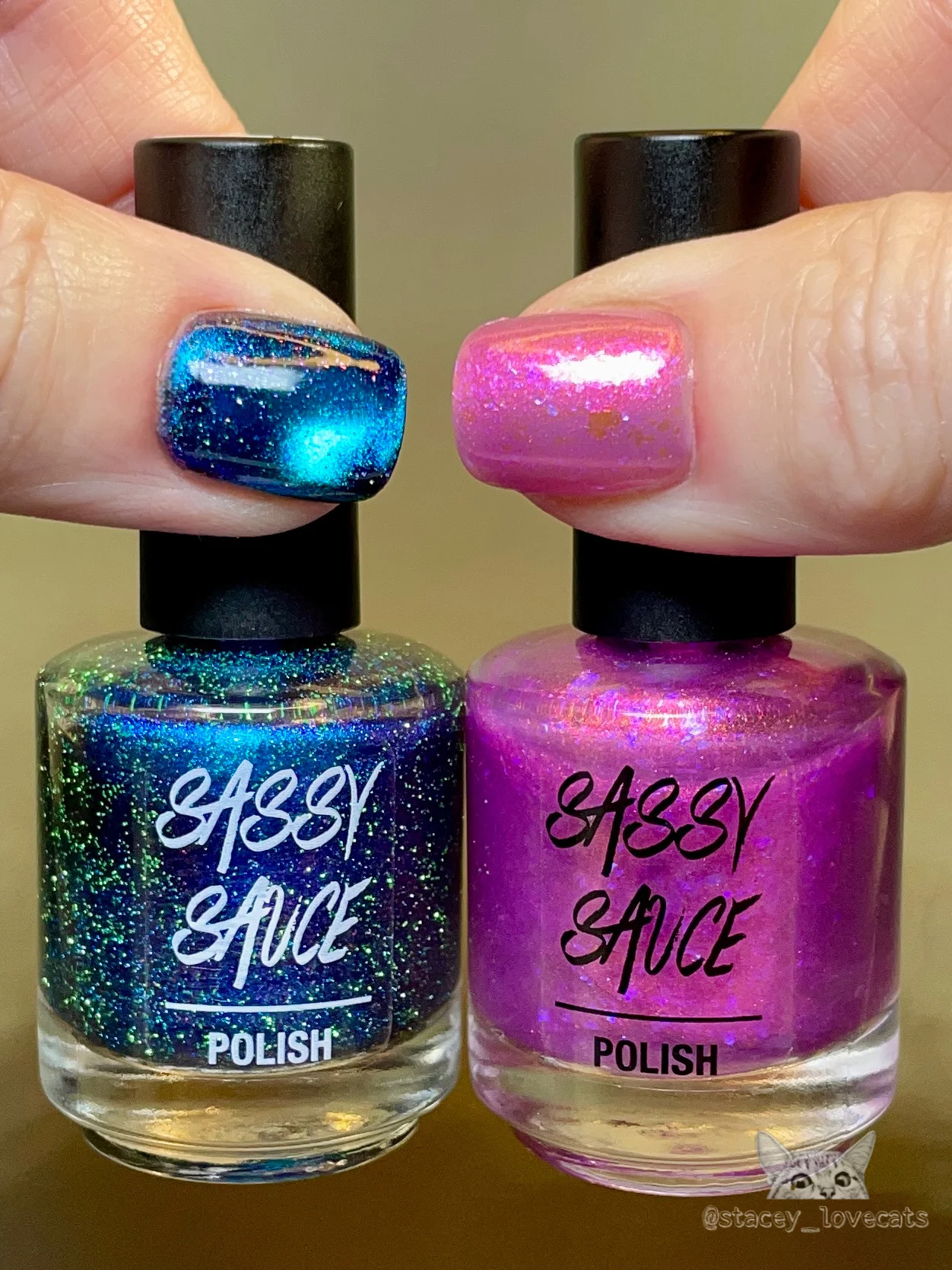 Sassy Sauce Polish: Mother's Day Duo "Because I Said So" and "Don't Make Me Stop This Car" (Magnetic) *OVERSTOCK* - Image 4
